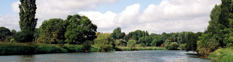 Saale bei Leuna